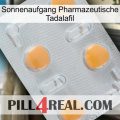 Sunrise Pharmaceutical Tadalafil 24